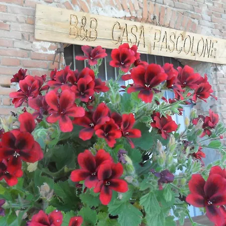Frühstückspension Casa Pascolone